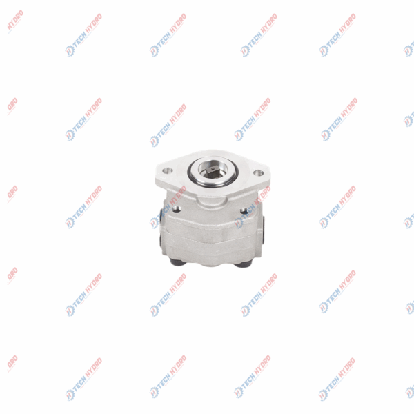 A10VD43 (11.0 CC REV & SINGLE) GEAR PUMP (CW-2B-KEY-13MM) 12525 - Image 2