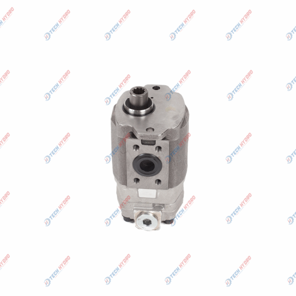 AP2D25 & (G2SP=21 10.7CC REV) GEAR PUMP (R=2B-10T & 4=P) 07977