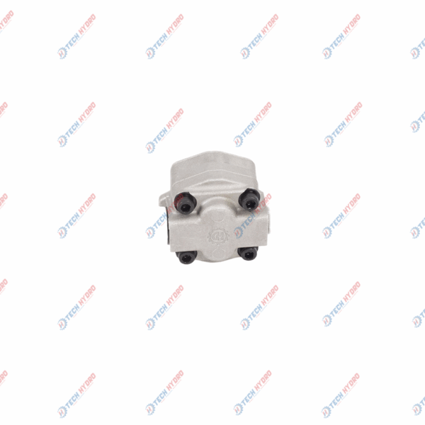 A10VD43 (11.0 CC REV & SINGLE) GEAR PUMP (CW-2B-KEY-13MM) 12525 - Image 4